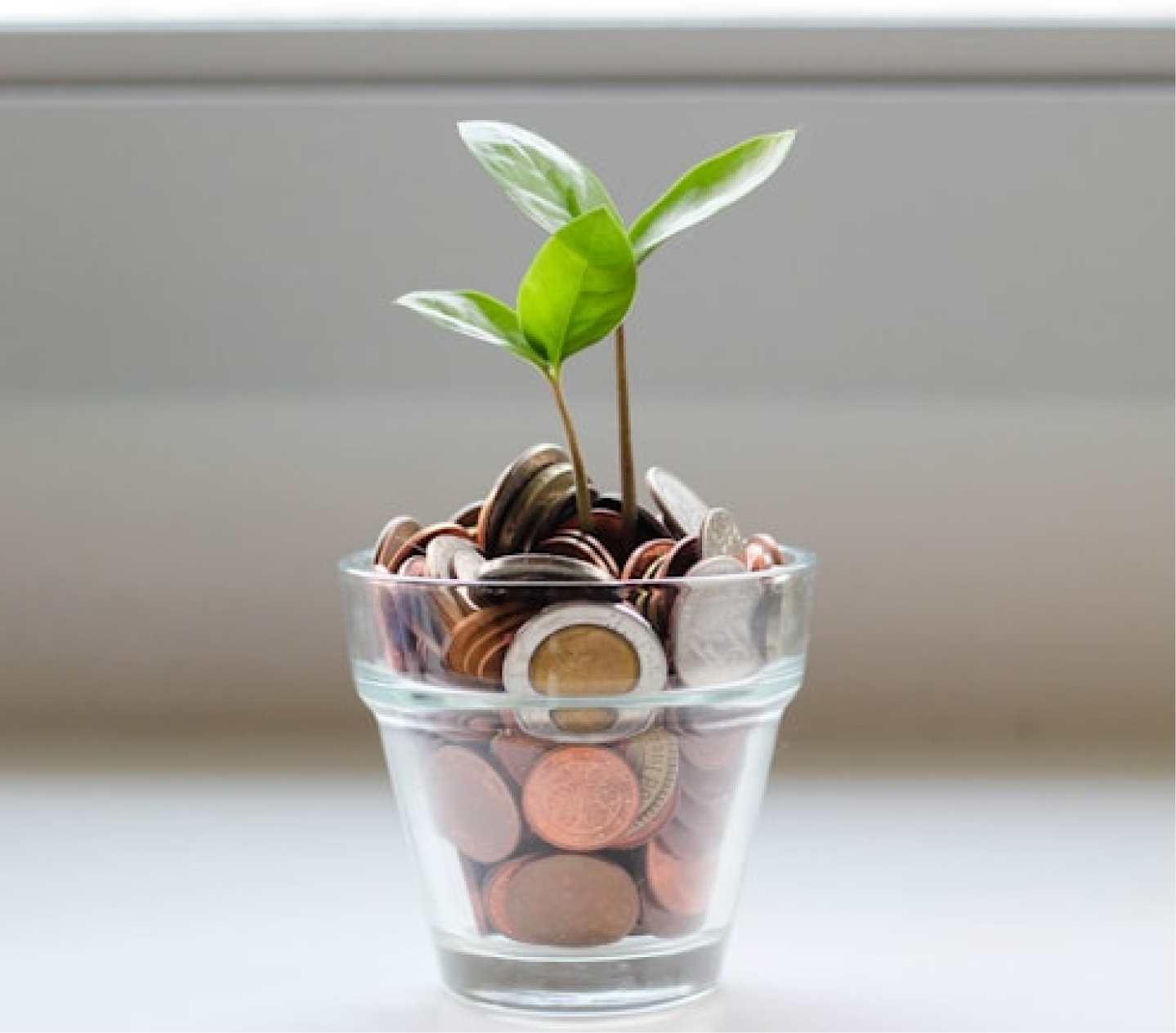 ahorro energético y en electrodomésticos